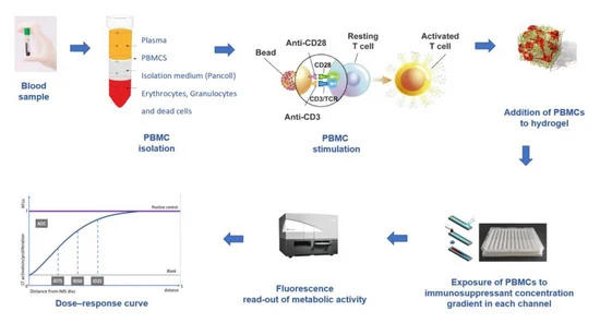 IMBG assay procedure