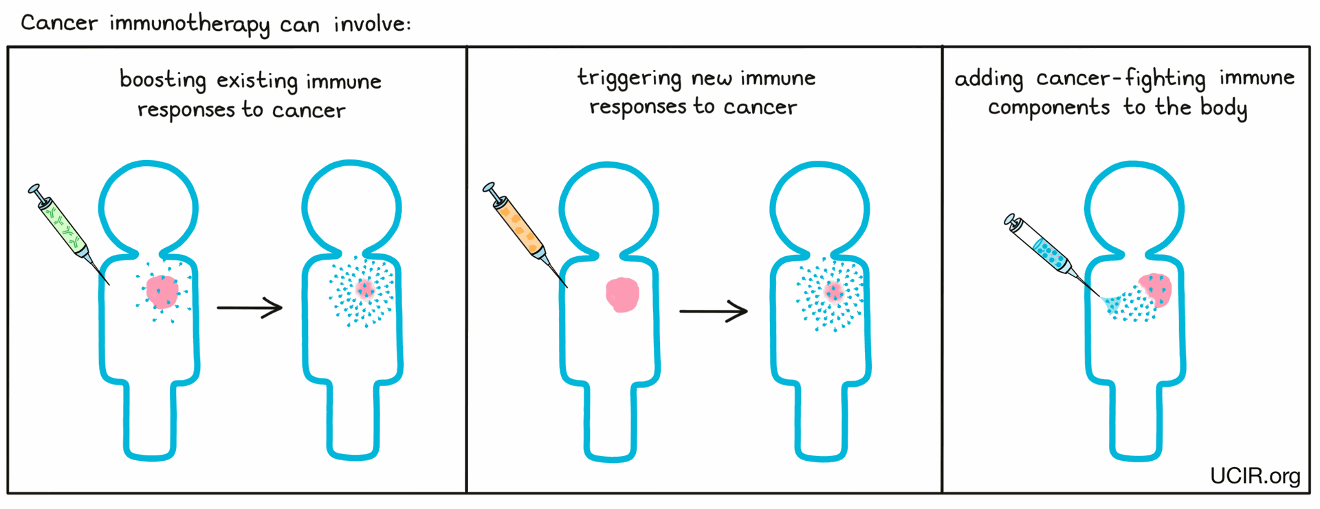 Cancer immunotherapy