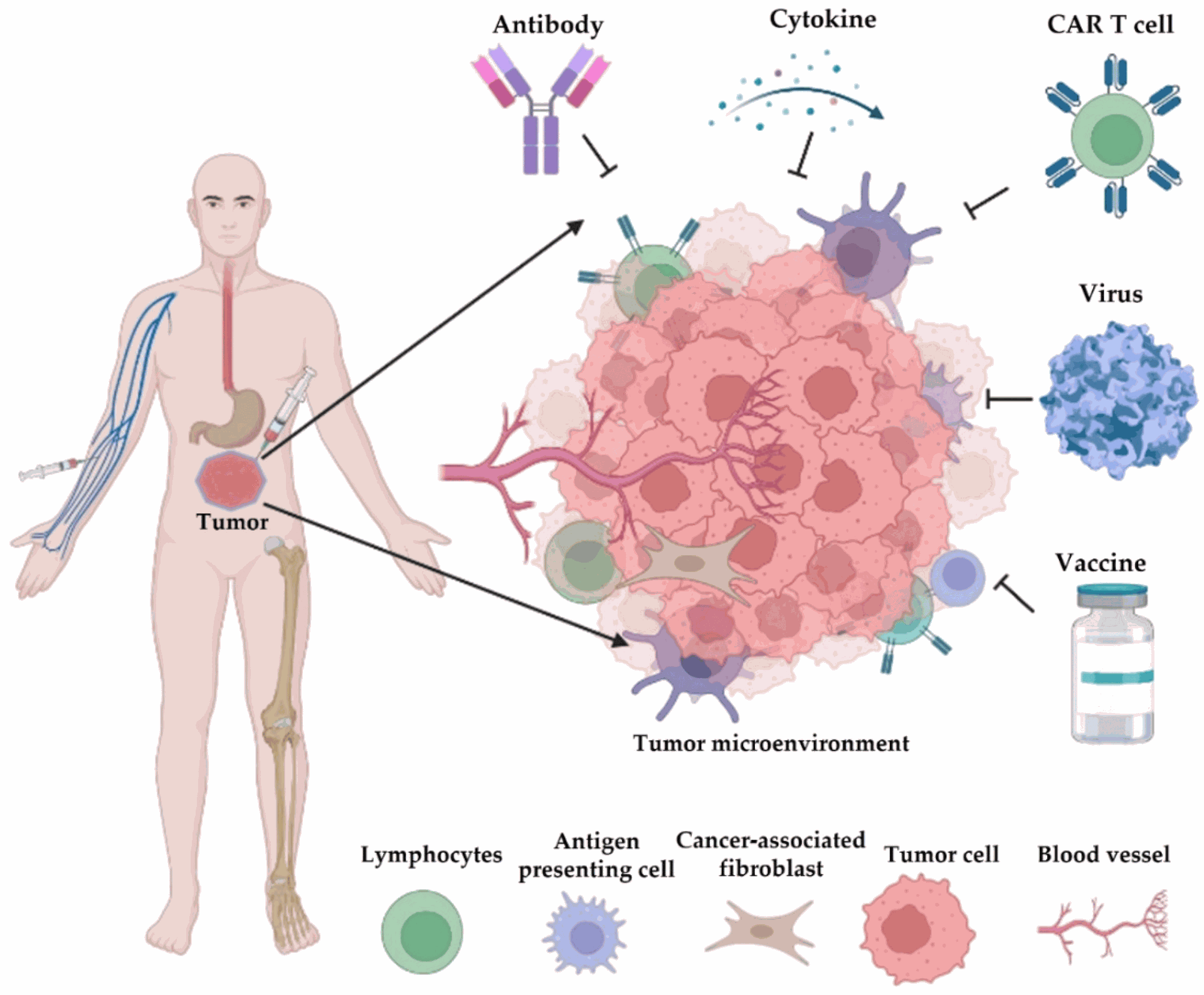  Cancer Immunotherapy and Delivery System