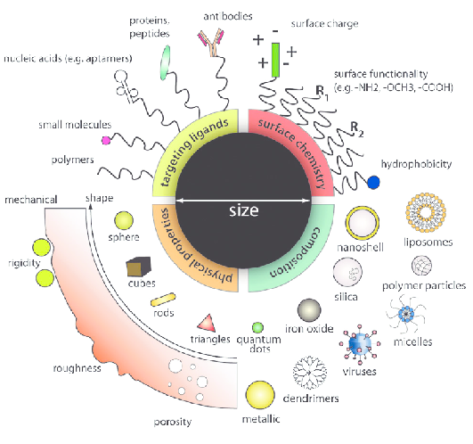 Design of nanoparticle (NP)-based drug delivery platform