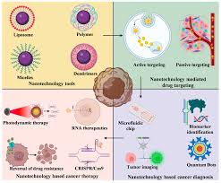 Recent Advances in Nanomaterials-Based Targeted Drug Delivery for Preclinical Cancer Diagnosis and TherapeuticsVisit