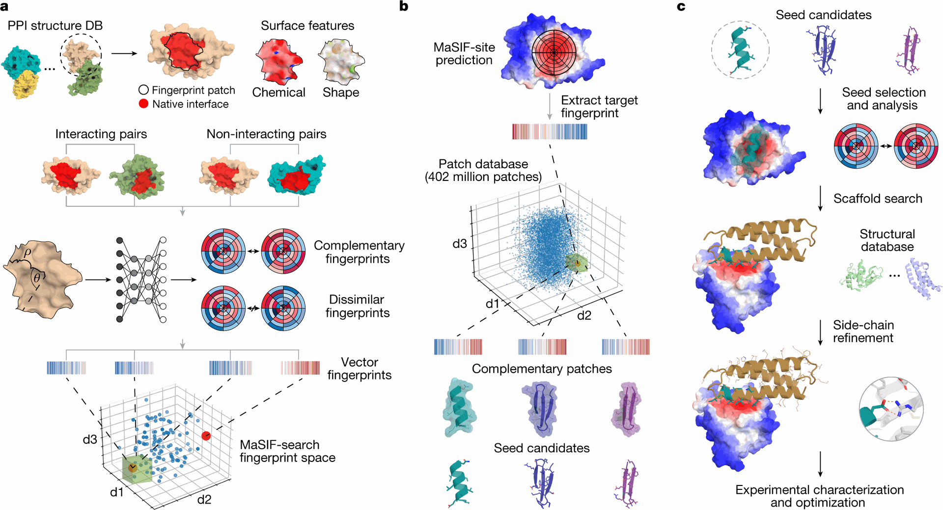 https://media.springernature.com/full/springer-static/image/art%3A10.1038%2Fs41586-023-05993-x/MediaObjects/41586_2023_5993_Fig1_HTML.png