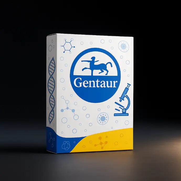 HSV-1 IgG/IgM Rapid Test CE, 30 tests/Test