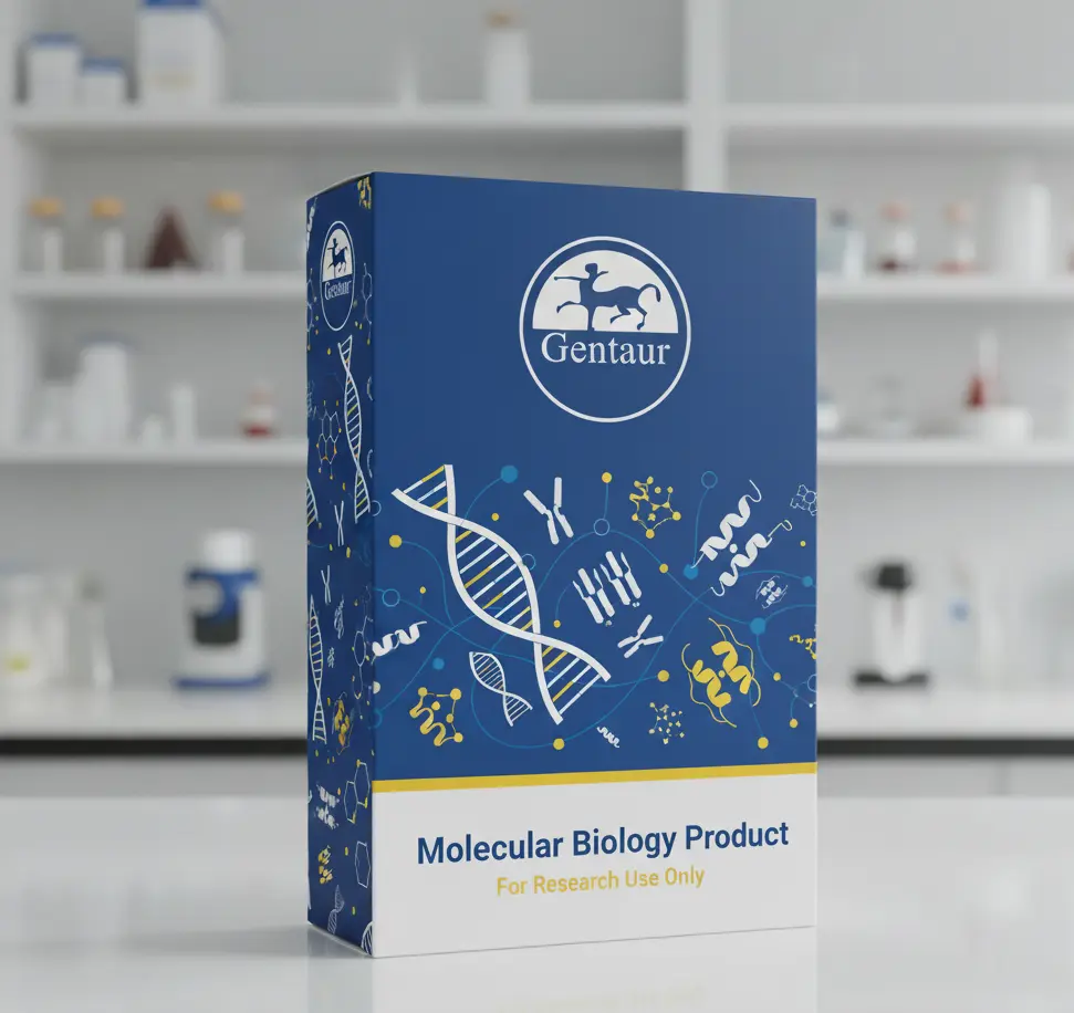 Methylmalonic Acid (MMA) ELISA Test - 96 tests