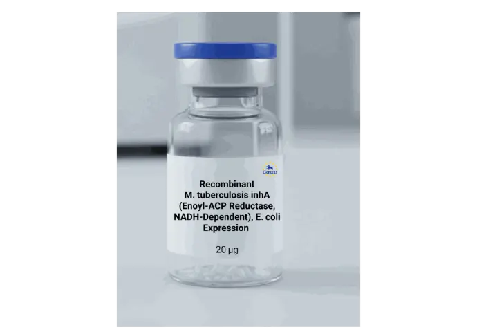 E. coli Rec. Mycobacterium tuberculosis Enoyl-[acyl-carrier-protein] reductase [NADH](inhA), E.coli expression - 20 ug.