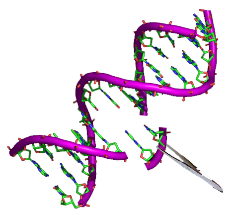 [0544-MBS041897-96T] CTX-II elisa Test :: Canine Cross-Linked C-Terminal Telopeptides of Type II Collagen ELISA Test - 96 Tests